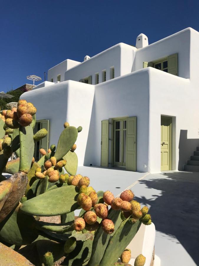 Villa Agnes Mykonos Mykonos Town Zewnętrze zdjęcie